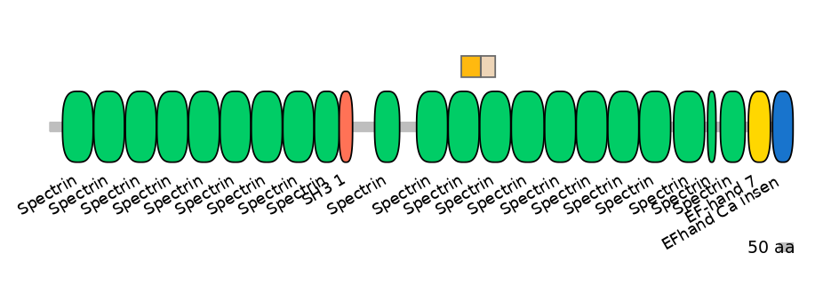 HsaINT0158385-EXC