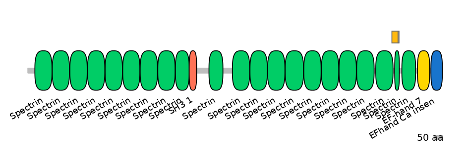 HsaINT0158404-EXC