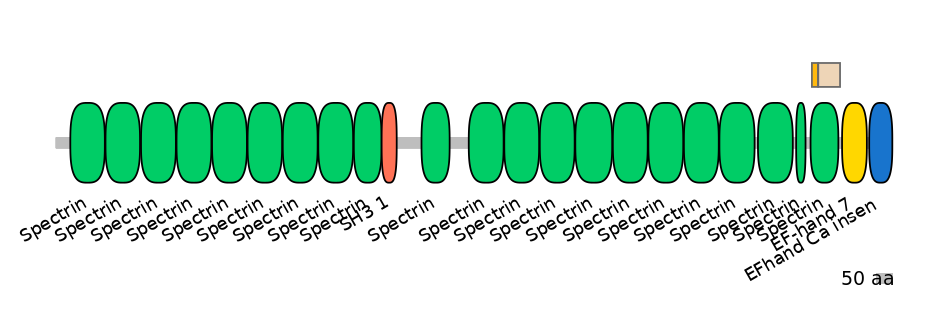 HsaINT0158406-EXC