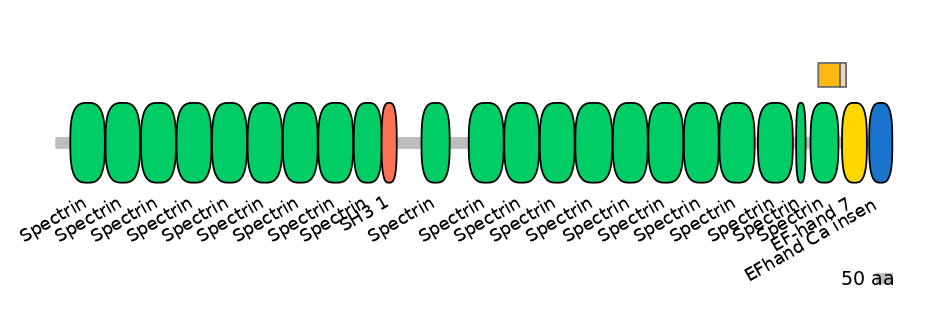 HsaINT0158407-EXC