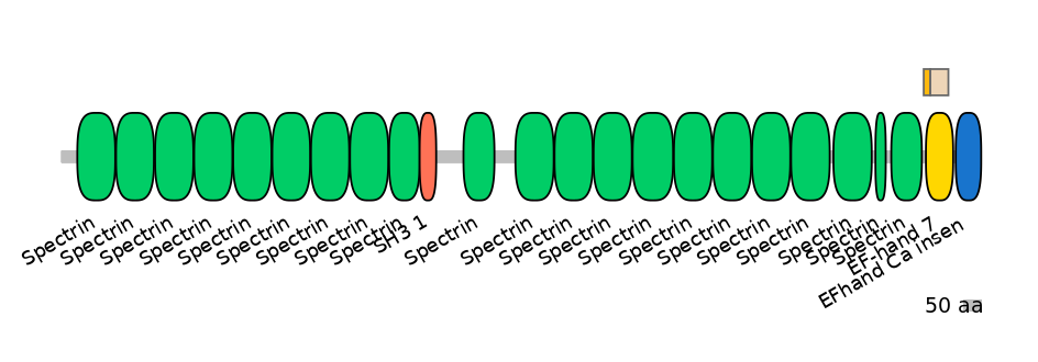 HsaINT0158408-EXC