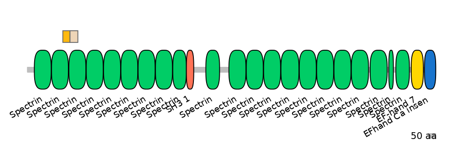 HsaINT0158411-EXC