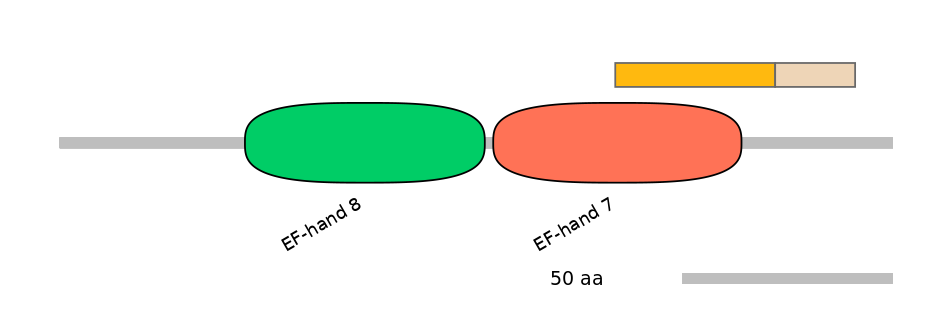HsaINT0158972-EXC