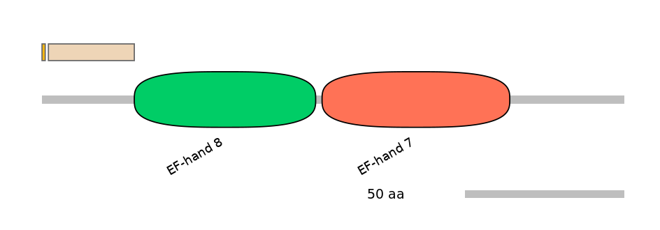 HsaINT0158974-EXC
