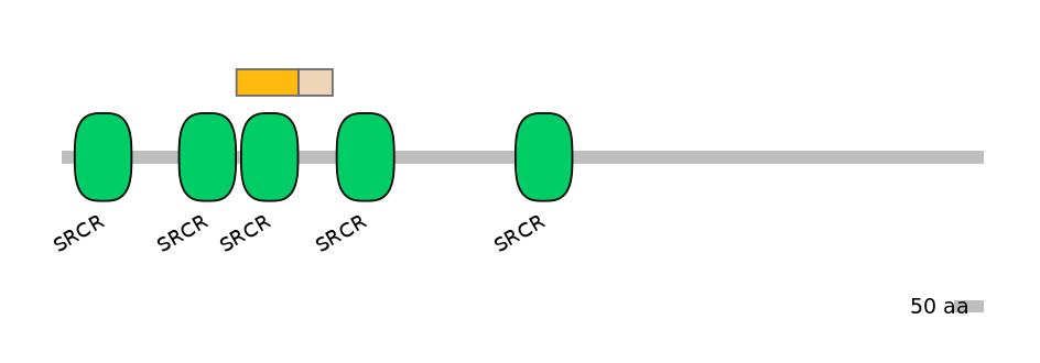 HsaINT0159401-EXC