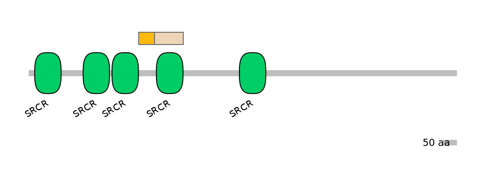 HsaINT0159402-EXC
