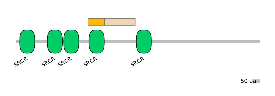 HsaINT0159403-EXC