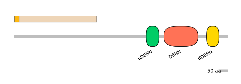 HsaINT0159822-EXC