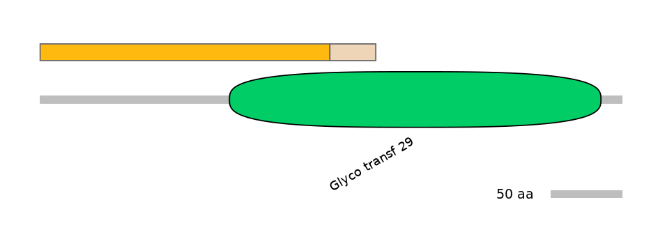HsaINT0159834-EXC