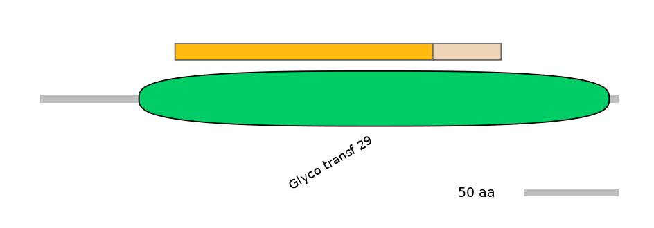 HsaINT0159865-EXC