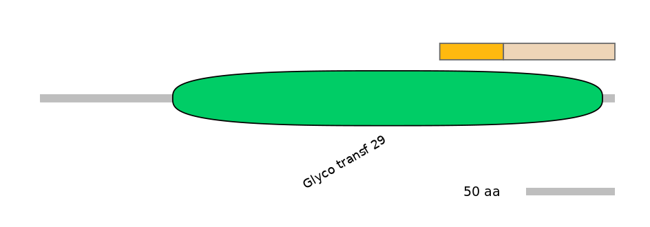 HsaINT0159872-EXC