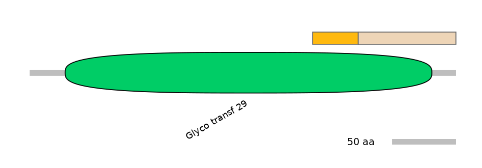 HsaINT0159876-EXC