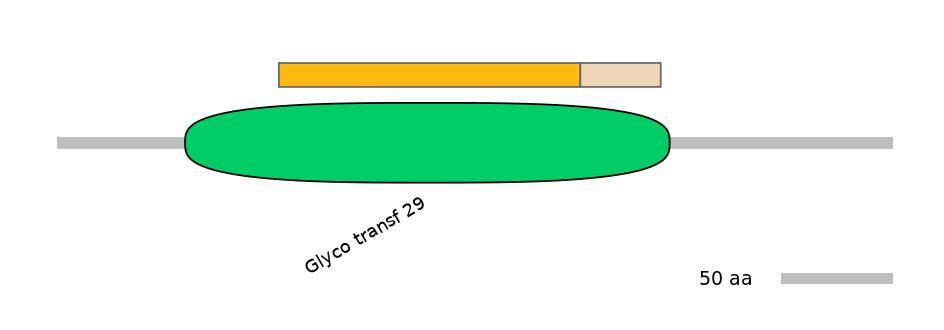 HsaINT0159881-EXC