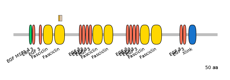 HsaINT0159962-EXC