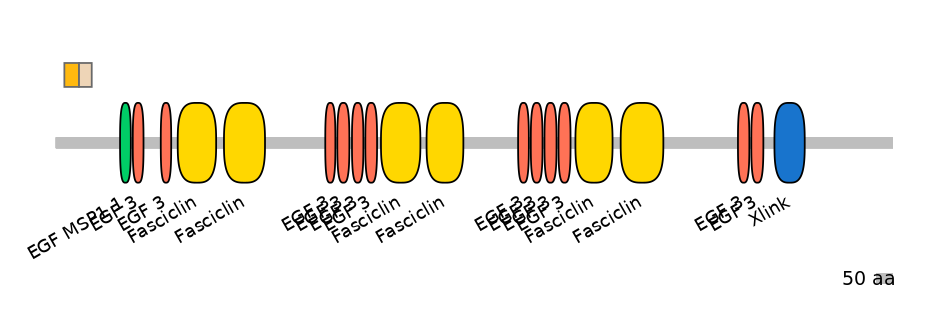 HsaINT0159966-EXC