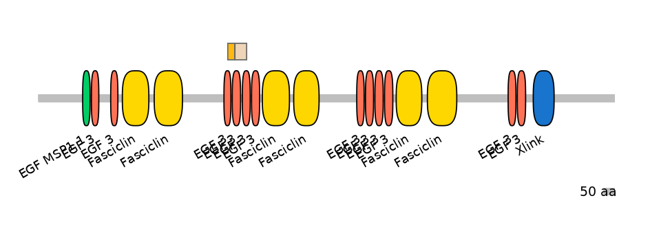 HsaINT0159971-EXC