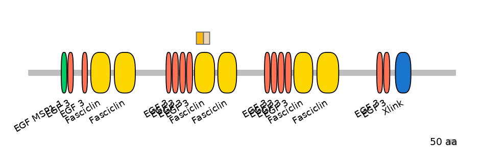 HsaINT0159976-EXC