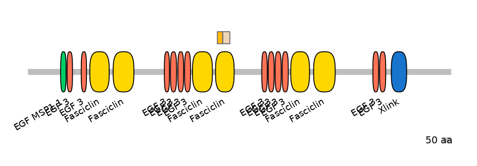 HsaINT0159981-EXC