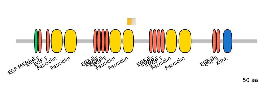 HsaINT0159982-EXC