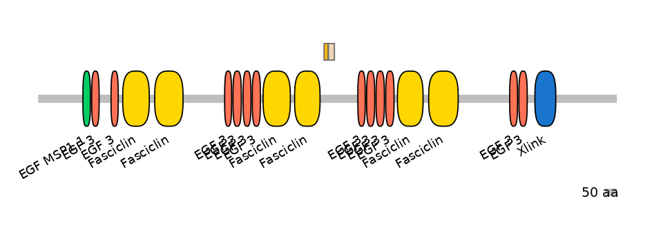 HsaINT0159984-EXC