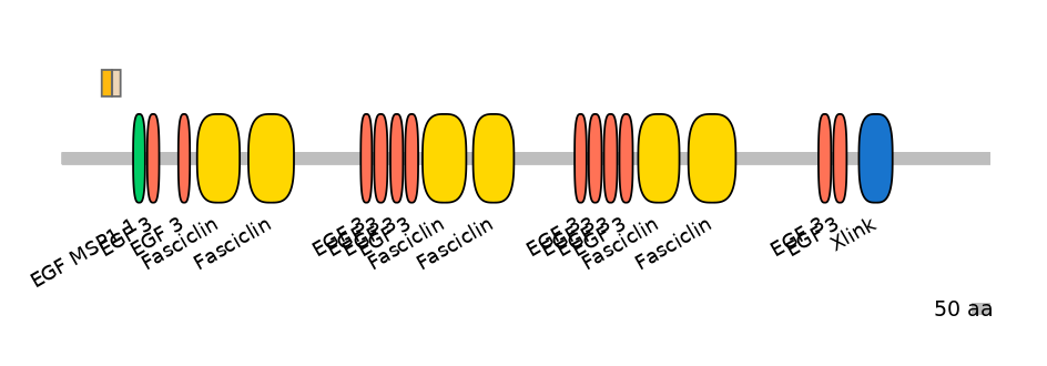 HsaINT0159988-EXC