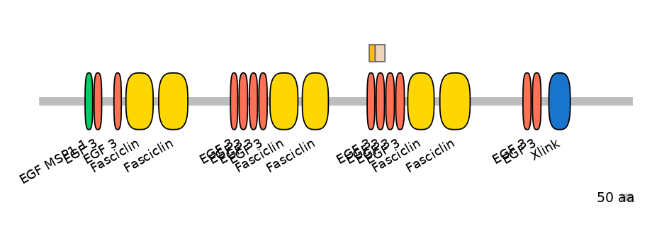 HsaINT0159990-EXC