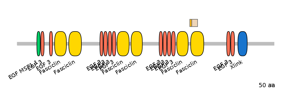 HsaINT0160000-EXC