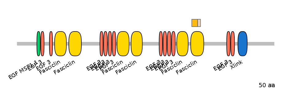 HsaINT0160001-EXC