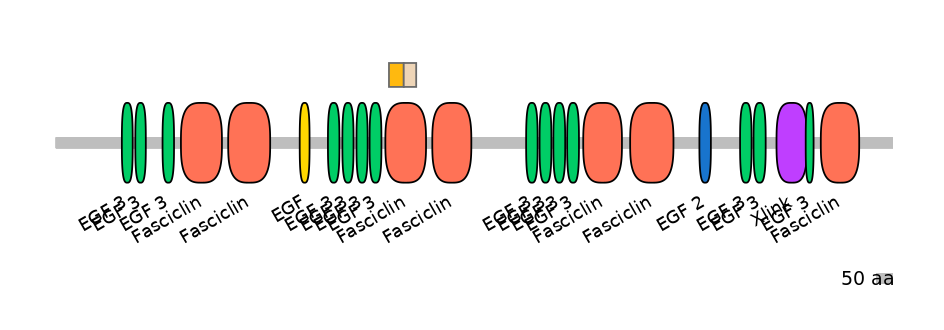 HsaINT0160044-EXC