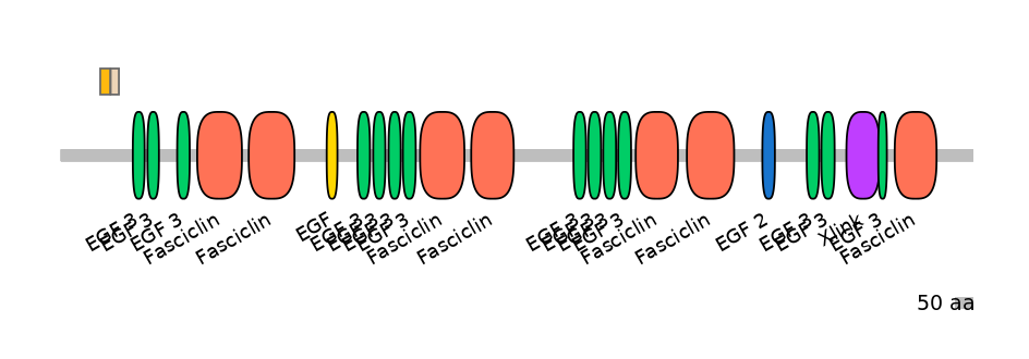 HsaINT0160056-EXC