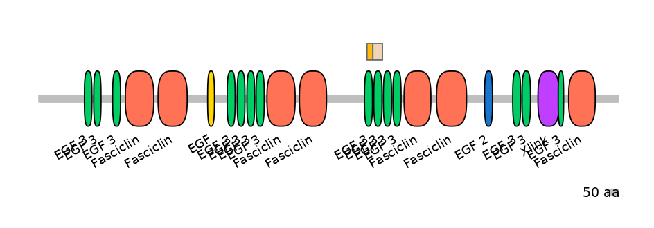 HsaINT0160058-EXC