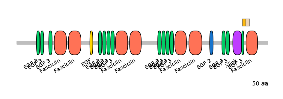 HsaINT0160082-EXC
