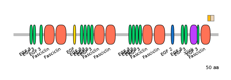 HsaINT0160085-EXC
