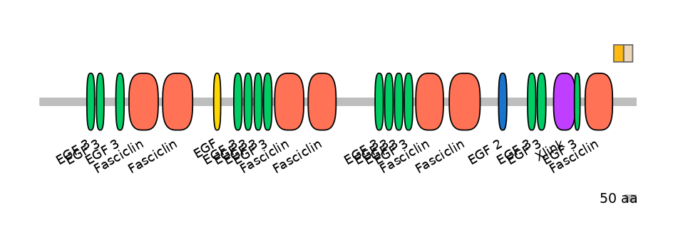 HsaINT0160086-EXC
