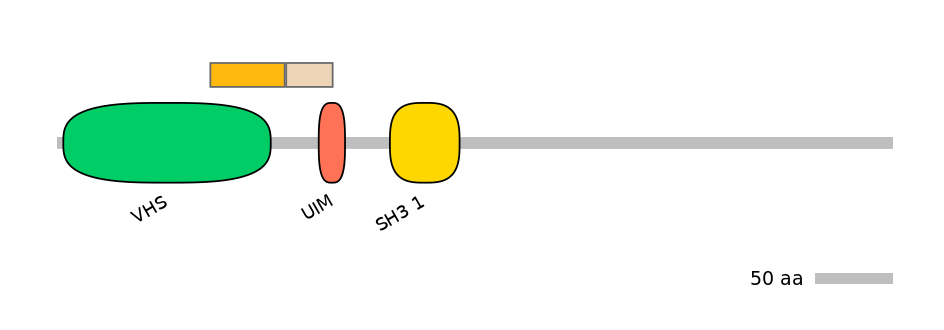 HsaINT0160252-EXC