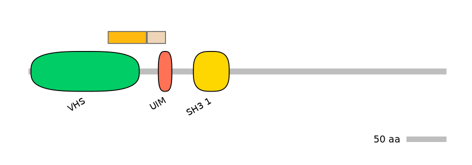 HsaINT0160265-EXC