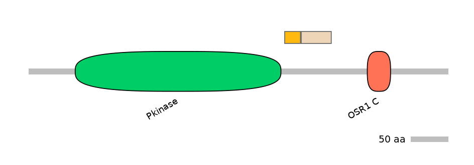 HsaINT0160932-EXC
