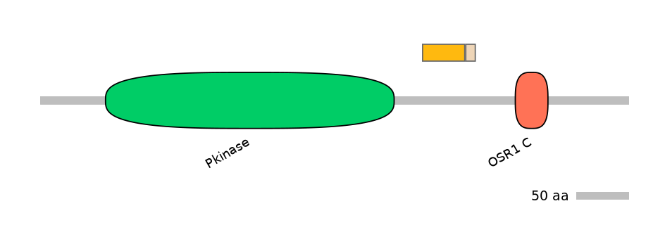 HsaINT0160933-EXC