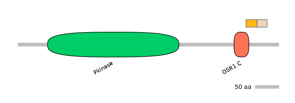 HsaINT0160938-EXC