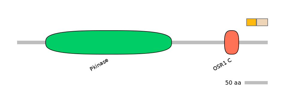 HsaINT0160939-EXC