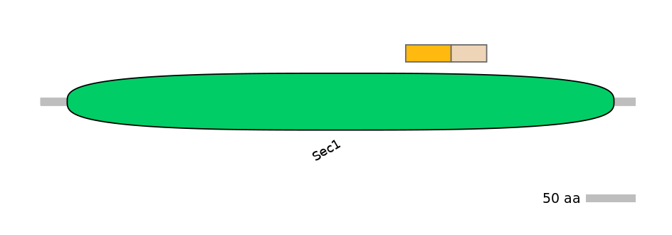 HsaINT0161388-EXC
