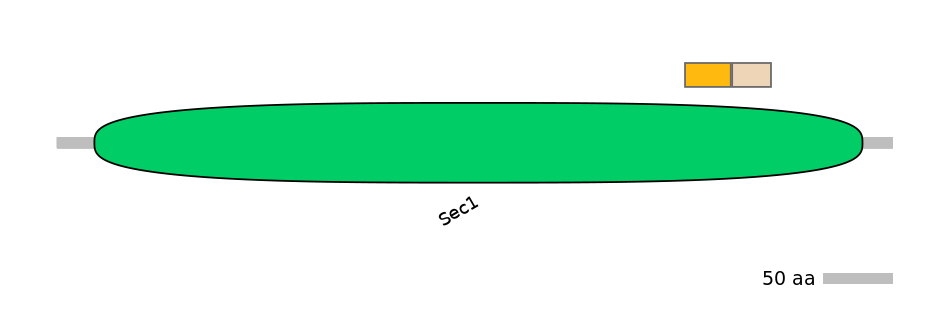 HsaINT0161390-EXC