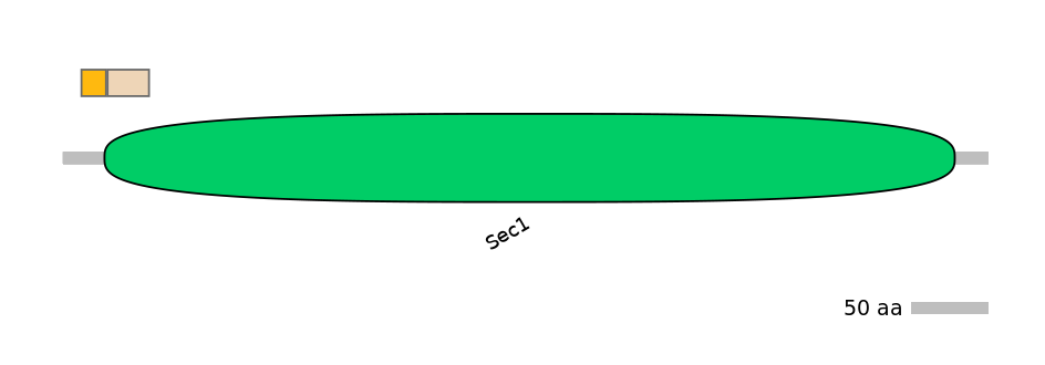 HsaINT0161394-EXC