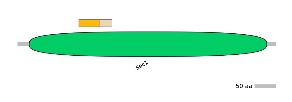 HsaINT0161399-EXC