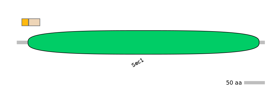 HsaINT0161412-EXC