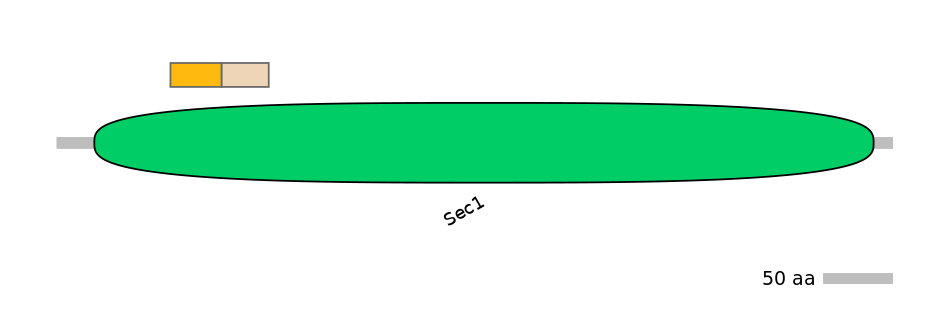 HsaINT0161414-EXC
