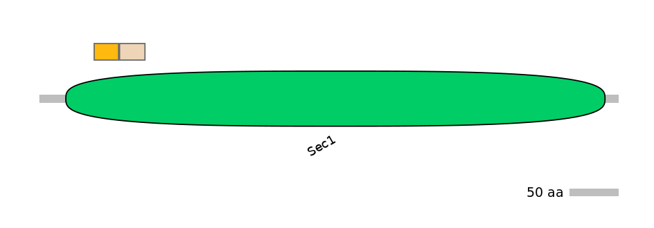 HsaINT0161419-EXC