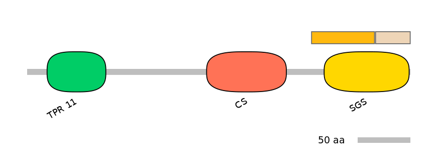 HsaINT0161630-EXC