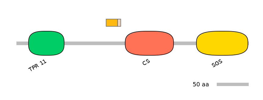 HsaINT0161636-EXC