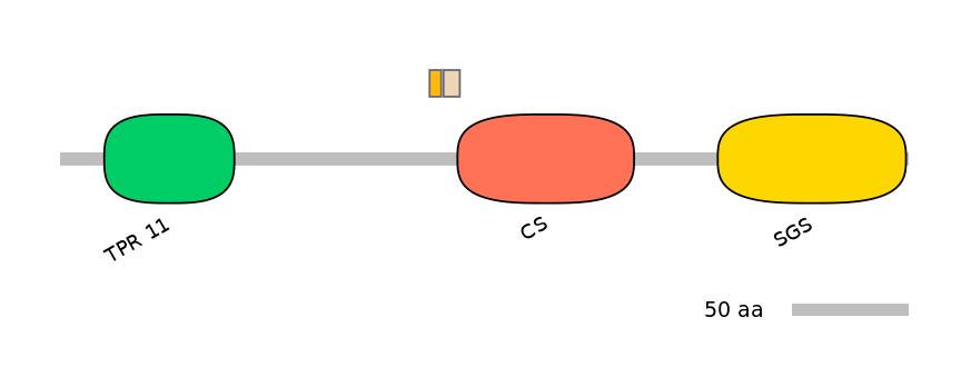 HsaINT0161637-EXC